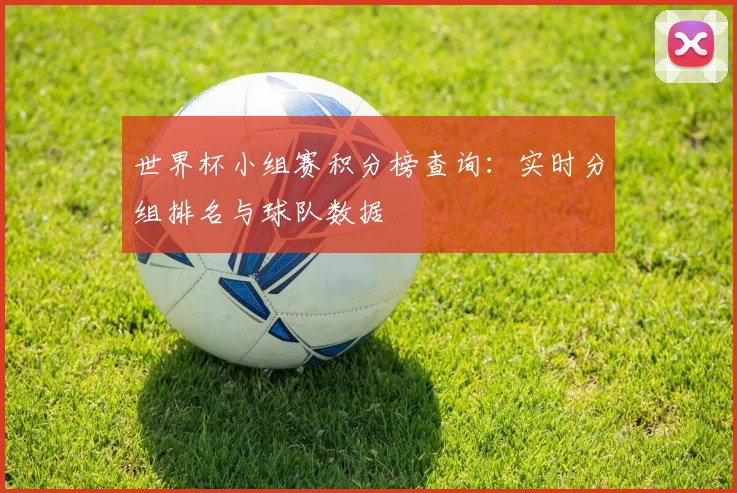 世界杯小组赛积分榜查询：实时分组排名与球队数据