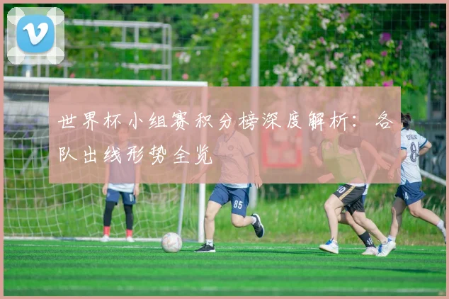 世界杯小组赛积分榜深度解析：各队出线形势全览