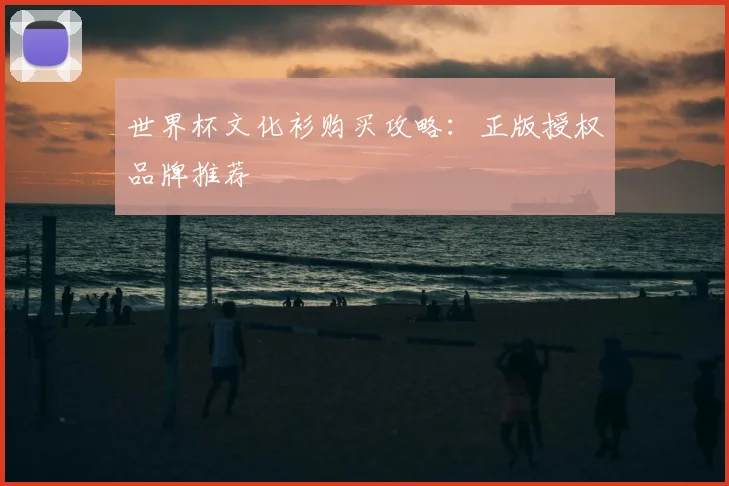 世界杯文化衫购买攻略:正版授权品牌推荐