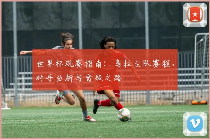 世界杯观赛指南：乌拉圭队赛程、对手分析与晋级之路