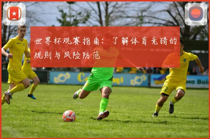 世界杯观赛指南：了解体育竞猜的规则与风险防范